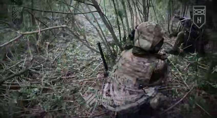 ЗСУ контратакували ворога на півночі Донеччини і зайняли його позиції (відео)