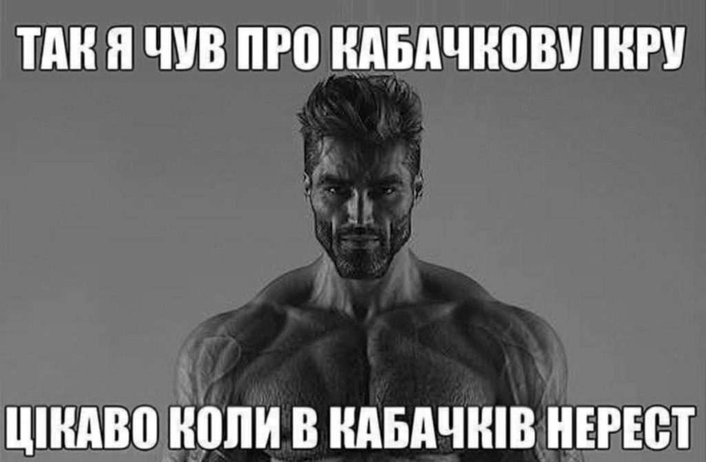 кабачки,Меми про кабачки,кабачковий челендж,TikTok кабачки Меми про кабачки