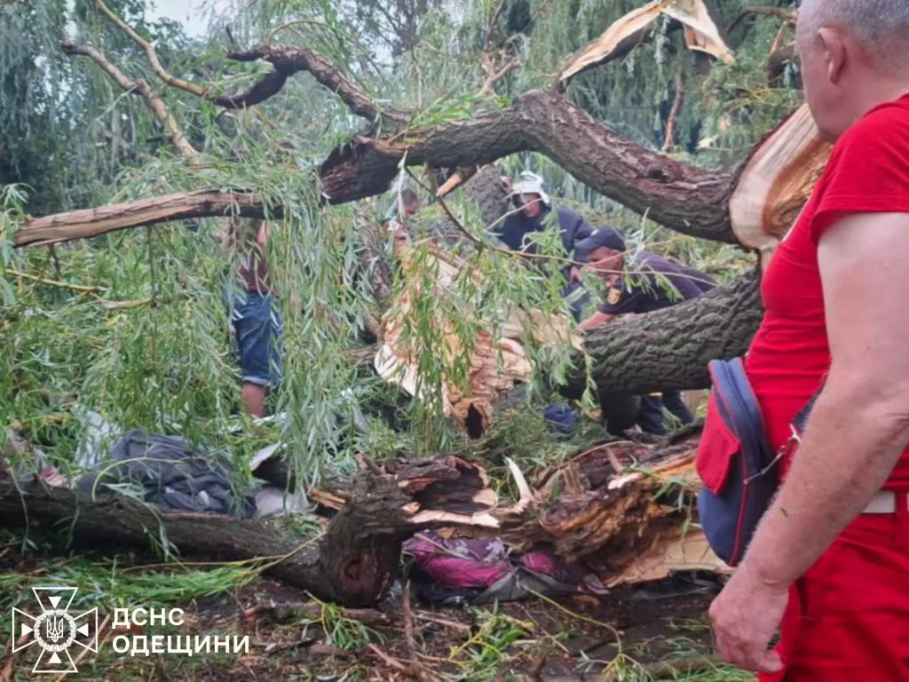 Трагедія,Падіння дерева на намет,Балта Подільського району Одеської області Трагедія Падіння дерева на намет
