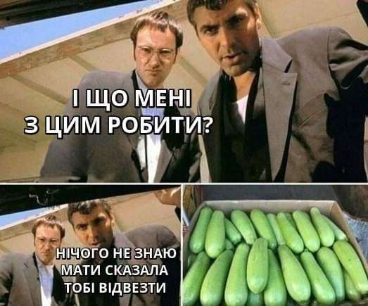 кабачки,Меми про кабачки,кабачковий челендж,TikTok кабачки Меми про кабачки