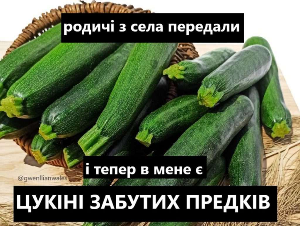 кабачки,Меми про кабачки,кабачковий челендж,TikTok кабачки Меми про кабачки