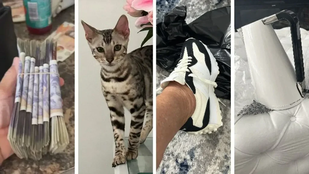 бабуся,кокаїн,наркотики,велика британія бабуся бабуся,кокаїн,наркотики,велика британія бабуся,кокаїн,наркотики,велика британія