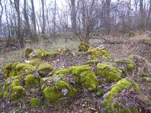 жертвоприношення,Гора Богит,Давнє городище на Богиті,Містика Богиту жертвоприношення Давнє городище на Богиті