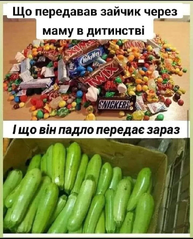 кабачки,Меми про кабачки,кабачковий челендж,TikTok кабачки Меми про кабачки