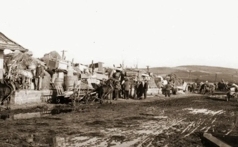 Компенсації депортованим українцям з Польщі 1944-1951 роках: хто отримає виплати ➤ Prozoro.net.ua