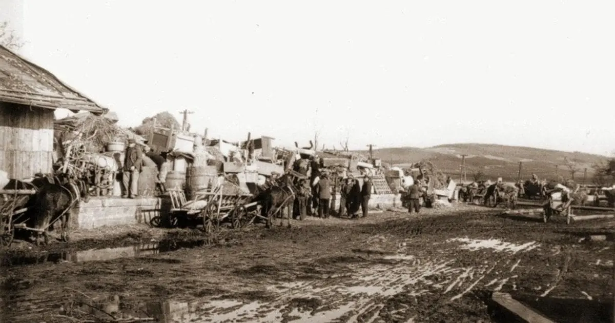 Компенсації депортованим українцям з Польщі 1944-1951 роках: хто отримає виплати ➤ Prozoro.net.ua