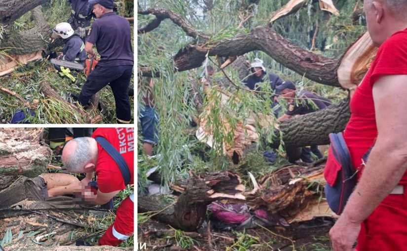 Трагедія в Одеській області: дерево впало на намет з дітьми (фото) ➤ Prozoro.net.ua