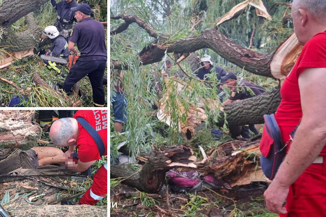 Трагедія в Одеській області: дерево впало на намет з дітьми (фото) ➤ Prozoro.net.ua