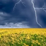 Синоптики попередили про негоду в Україні: де чекати дощів і похолодання ➤ Prozoro.net.ua