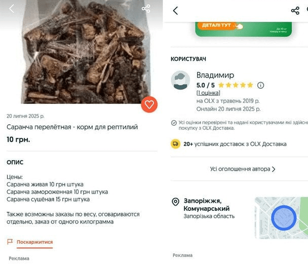 нашестя сарани,Запорізька область,екологічна проблема,екологія нашестя сарани,Запорізька область,екологічна проблема,екологія