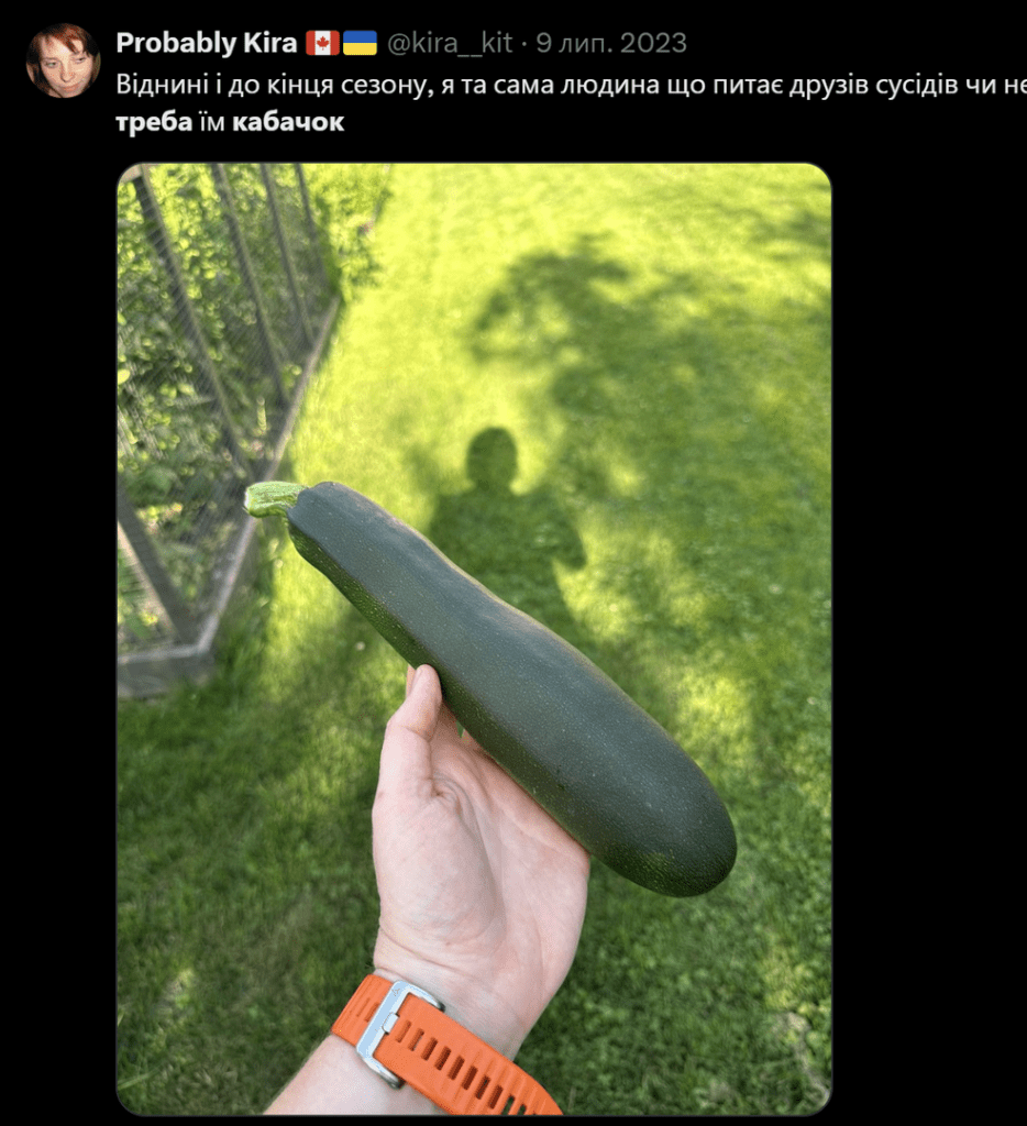 кабачки,Меми про кабачки,кабачковий челендж,TikTok кабачки Кабачок як символ літа