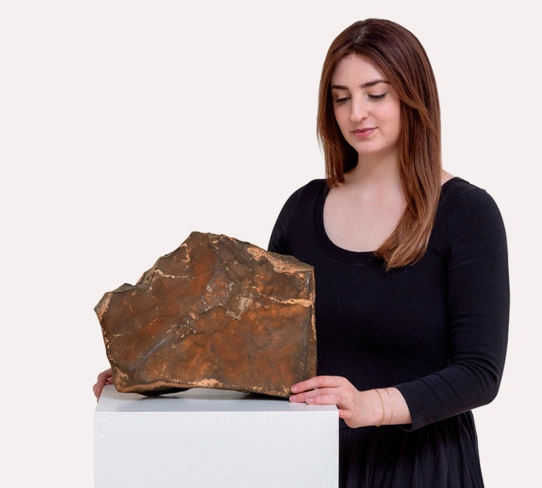 Марс,Метеорит з Марсу,Sotheby's Марс Метеорит з Марсу