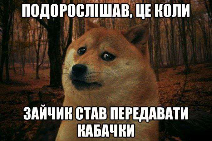 кабачки,Меми про кабачки,кабачковий челендж,TikTok кабачки Меми про кабачки