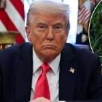 Трамп вважає, що Coca-Cola змінила рецепт на його прохання ➤ Prozoro.net.ua