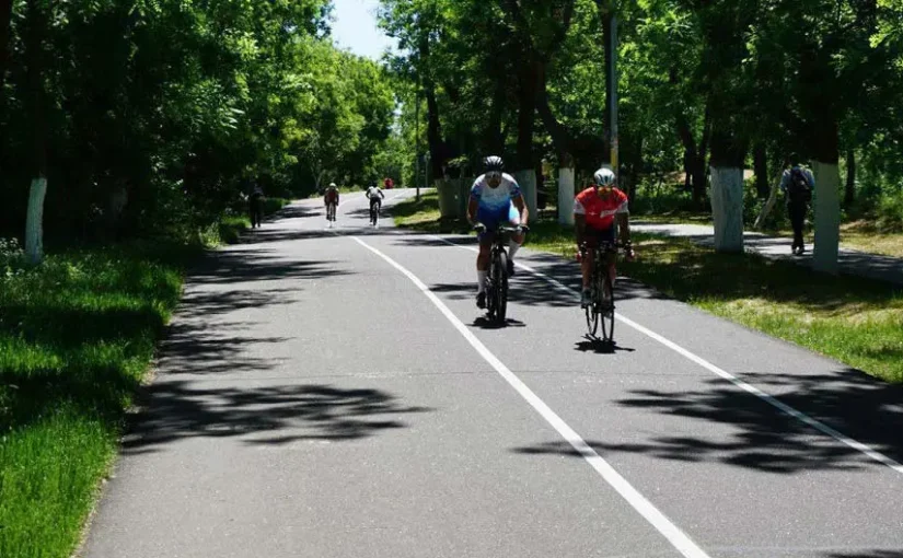 У центрі Одеси помітили небезпечного хижака: попереджають про сказ (відео) ➤ Prozoro.net.ua