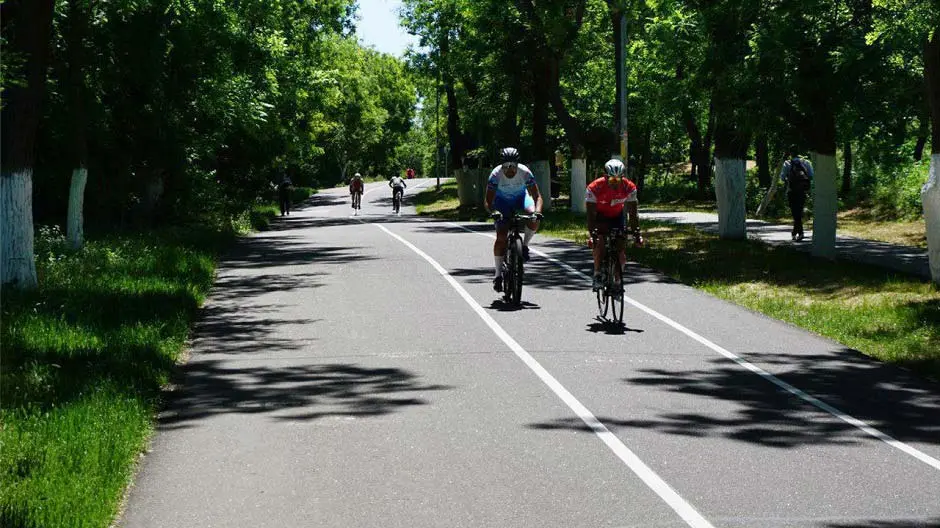 У центрі Одеси помітили небезпечного хижака: попереджають про сказ (відео) ➤ Prozoro.net.ua