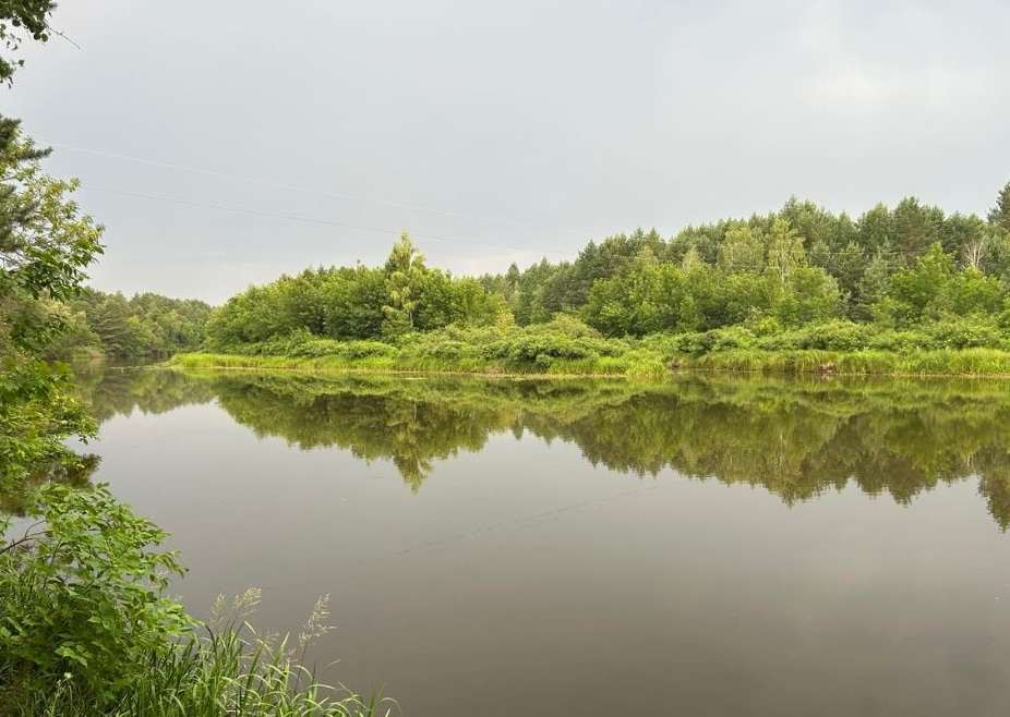 У Чорнобилі до фотопастки потрапив величезний хижак (фото) ➤ Prozoro.net.ua