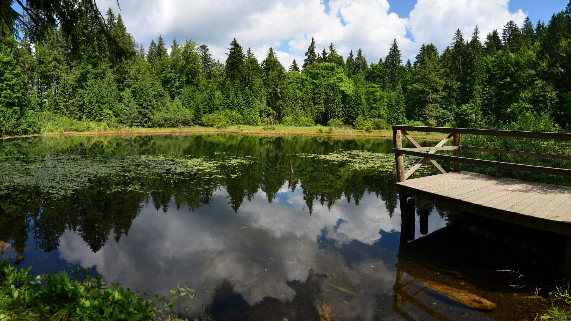 Дике озеро Карпат: прихована перлина Закарпаття, куди не дістається масовий туризм (фото) ➤ Prozoro.net.ua