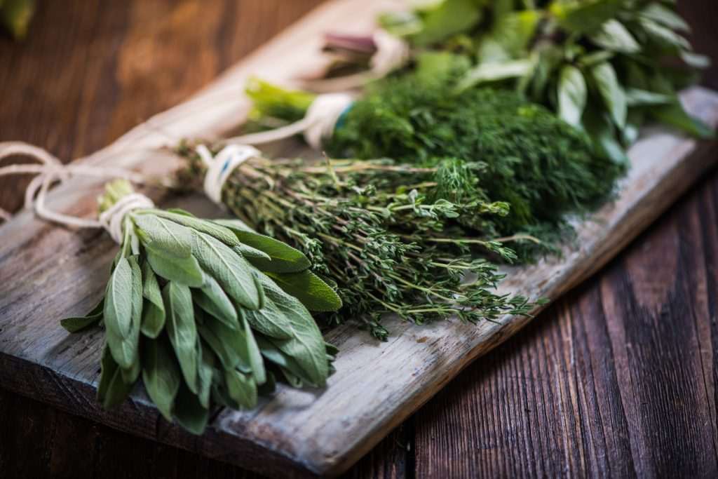 Продукти для збереження молодості,Які продукти уповільнюють старіння,Компоненти антивікової дієти,уповільнити старіння Продукти для збереження молодості Компоненти антивікової дієти