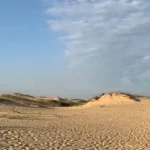 Еколог попередив про ризик перетворення однієї області в Україні на пустелю ➤ Prozoro.net.ua