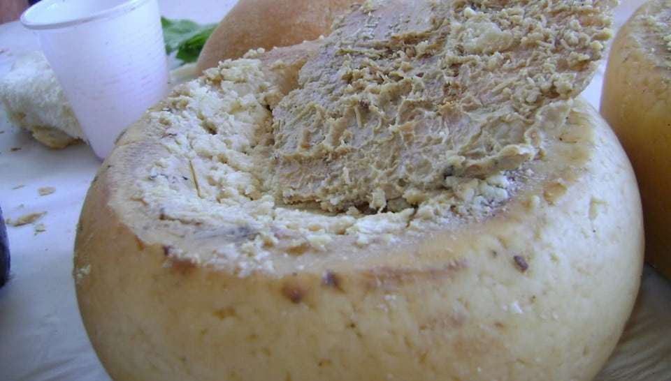 Небезпечні продукти,Ревінь,Сир касу марцу,Риба фугу Небезпечні продукти Сир касу марцу