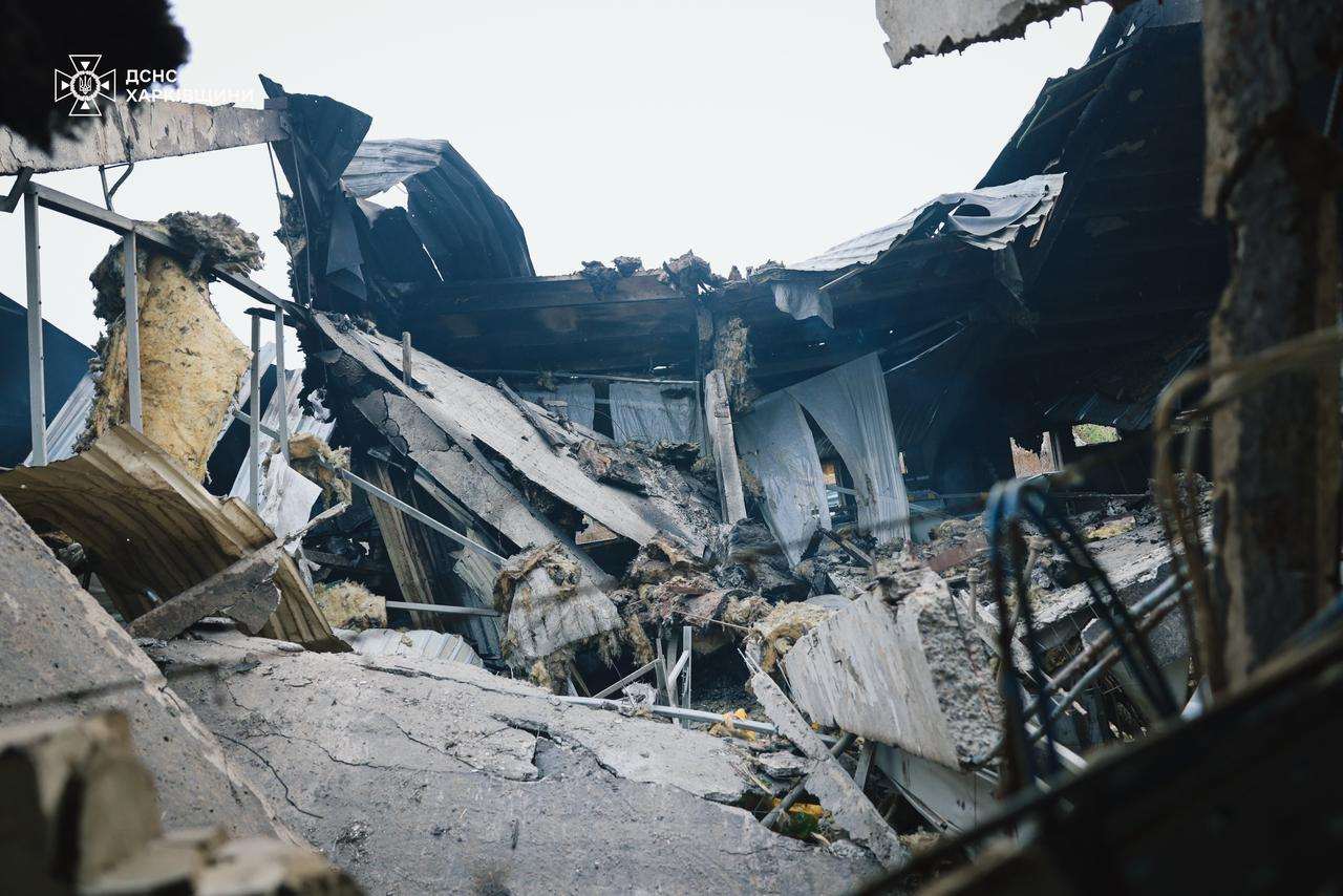 Близько 13 тисяч свиней вбив російський дрон на Харківщині (фото)