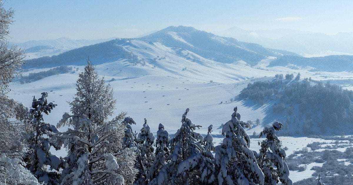 У Карпатах вже справжня зима: намело пів метра снігу та вдарив мороз (відео) ➤ Prozoro.net.ua