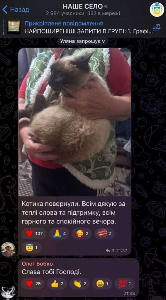 Повернення викраденого кота